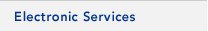 Electronic Services